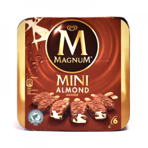 MAGNUM AMETLLA SNACK SIZE X 6