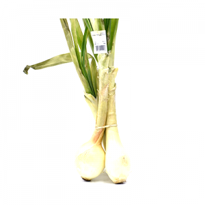 CEBA TENDRA ECO MANAT