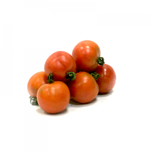 TOMAQUET DE PENJAR ECOLOGIC...