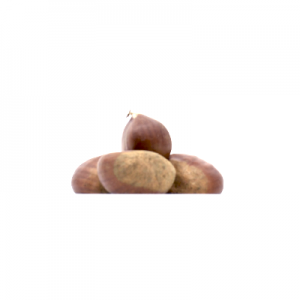 CASTANYA EXTRA 500 GR (25 UNI)