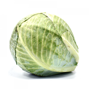 COL LLISA ECO 1 KG (1 UN)