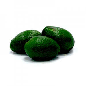 ALVOCAT BACON ECOLOGIC 600...