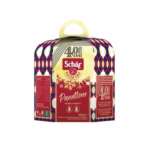 PANETTONNE S/GLUTEN 420 GR...