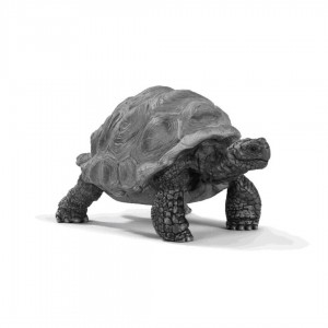 SCHLEICH TORTUGA GIGANTE