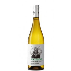 VI PANTIGANA BLANC 13º 75CL