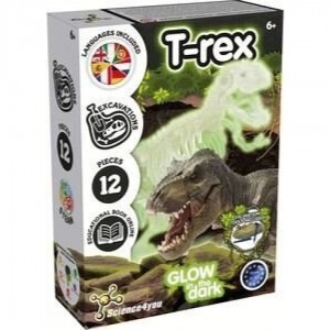 EXCAVACIO FOSSIL REX