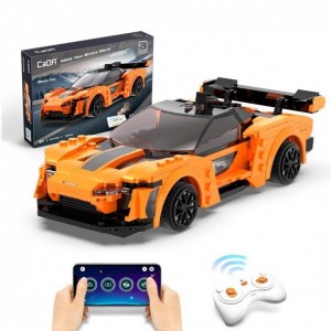 RACING CAR 295 PC RC
